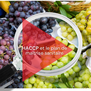 Recyclage - HACCP et le plan de maîtrise sanitaire - Vignette sterotypes sur le genre