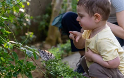 L’éveil à la nature en Petite Enfance : bienfaits et idées d’activités