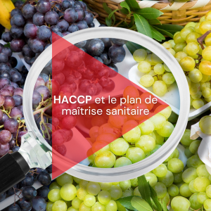 HACCP et le plan de maîtrise sanitaire - Vignette sterotypes sur le genre